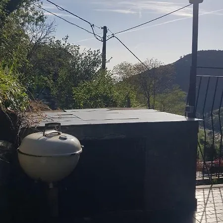 Apartament Green