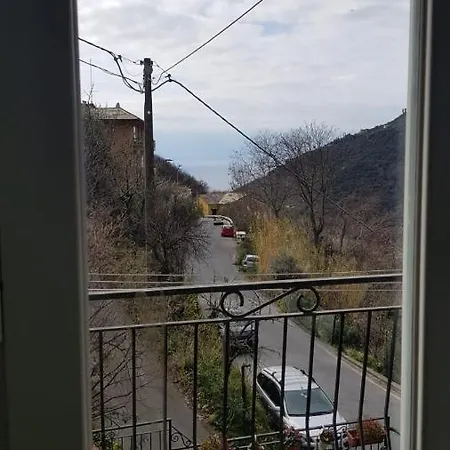 Apartment Green *